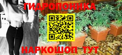мдма Гусев