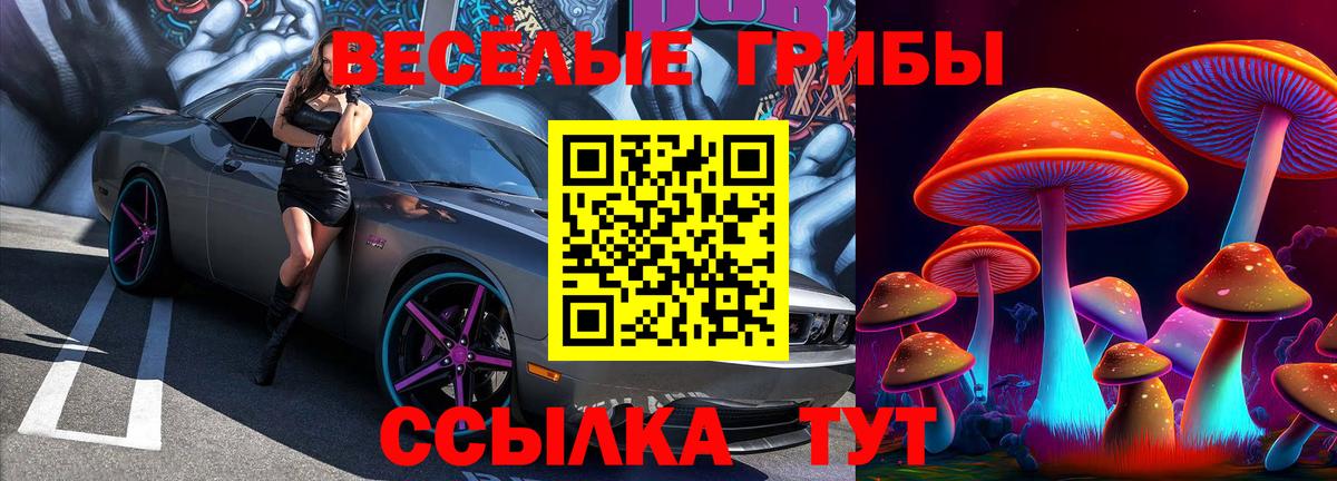 Псилоцибиновые грибы Magic Shrooms Кандалакша
