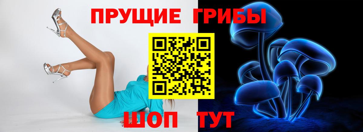 Кандалакша  Галлюциногенные грибы MAGIC MUSHROOMS  Вход с VPN  Псилоцибиновые грибы Magic Shrooms 