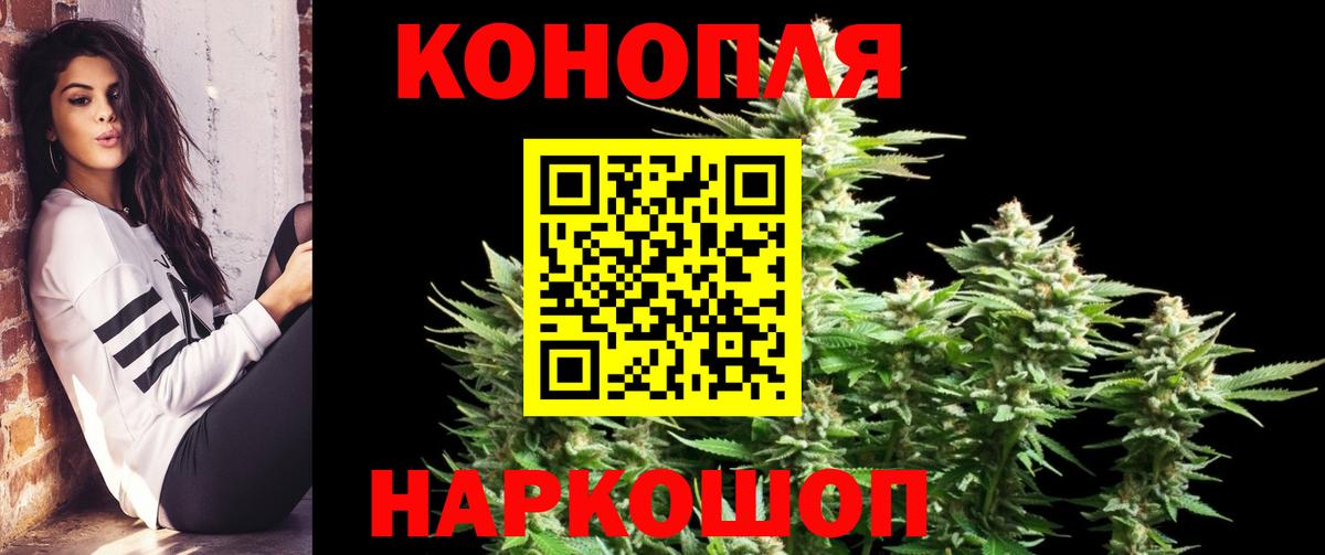 Бошки Шишки планчик Кандалакша